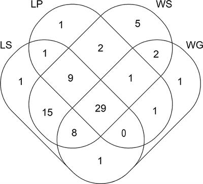 Antibiotic Resistance in Agricultural Soil and Crops Associated to the Application of Cow Manure-Derived Amendments From Conventional and Organic Livestock Farms